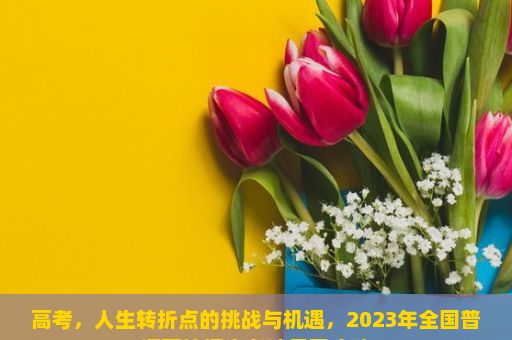 高考，人生转折点的挑战与机遇，2023年全国普通高校招生考试复习攻略