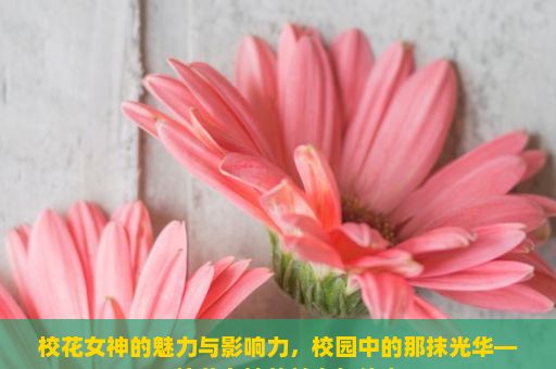 校花女神的魅力与影响力，校园中的那抹光华——校花女神的魅力与传奇