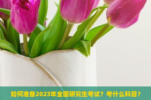 如何准备2023年全国研究生考试？考什么科目？