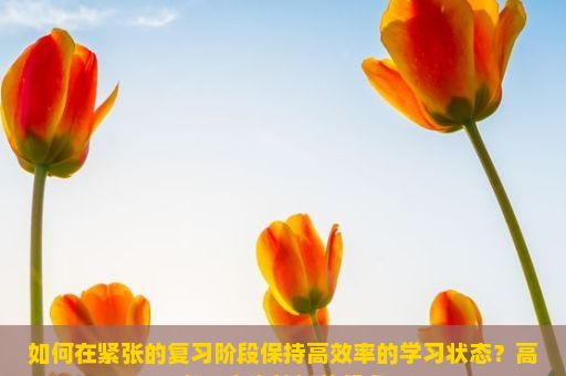 如何在紧张的复习阶段保持高效率的学习状态？高考，人生转折的起点