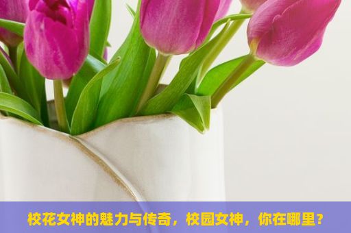 校花女神的魅力与传奇，校园女神，你在哪里？