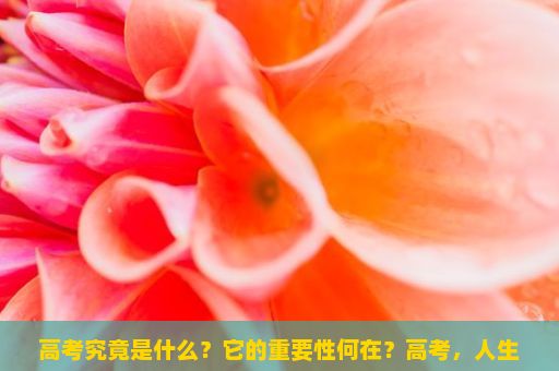 高考究竟是什么？它的重要性何在？高考，人生转折点的挑战与机遇