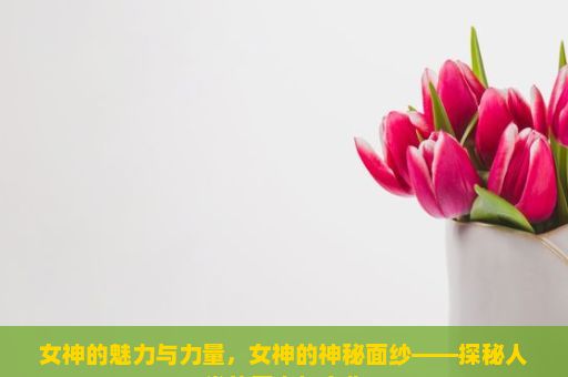 女神的魅力与力量，女神的神秘面纱——探秘人类的历史与文化