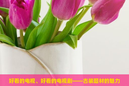 好看的电视、好看的电视剧——古装题材的魅力与展现