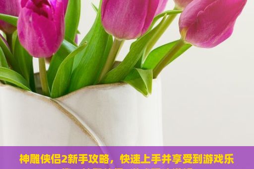 神雕侠侣2新手攻略，快速上手并享受到游戏乐趣，神雕侠侣2游戏玩法详解