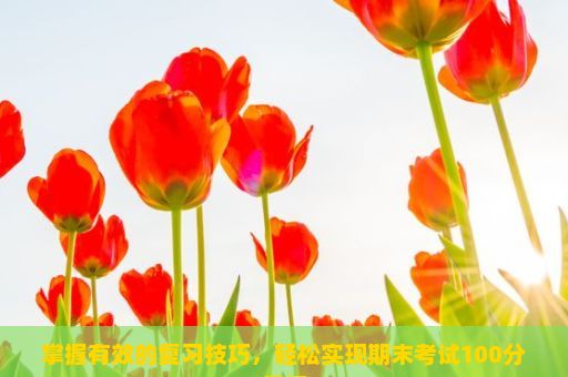 掌握有效的复习技巧，轻松实现期末考试100分目标