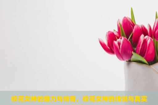 校花女神的魅力与传奇，校花女神的传说与真实面目？