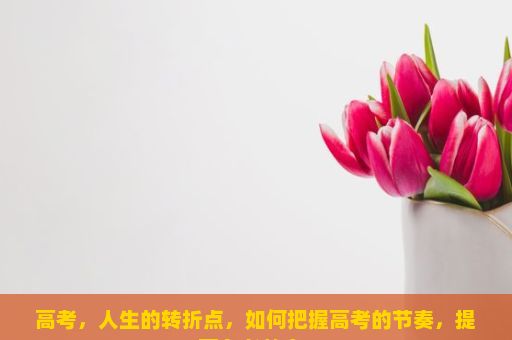 高考，人生的转折点，如何把握高考的节奏，提高备考效率？