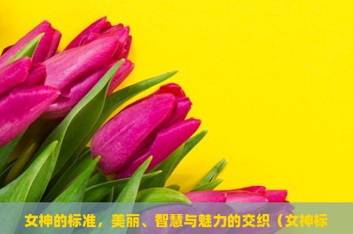 女神的标准，美丽、智慧与魅力的交织（女神标准，内外兼修的美丽之道）