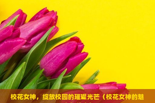 校花女神，绽放校园的璀璨光芒（校花女神的魅力与传奇）