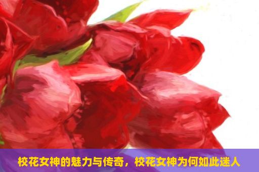 校花女神的魅力与传奇，校花女神为何如此迷人？