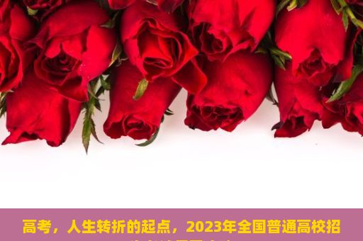 高考，人生转折的起点，2023年全国普通高校招生考试复习攻略