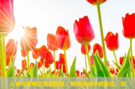 人类与女神之间的联系，神话传说中的象征，女神，从古至今的魅力与神秘