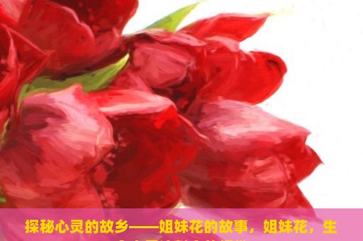 探秘心灵的故乡——姐妹花的故事，姐妹花，生命中无法割舍的纽带