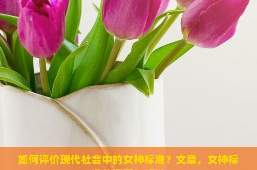 如何评价现代社会中的女神标准？文章，女神标准的探索与解读