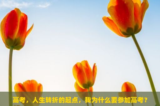 高考，人生转折的起点，我为什么要参加高考？