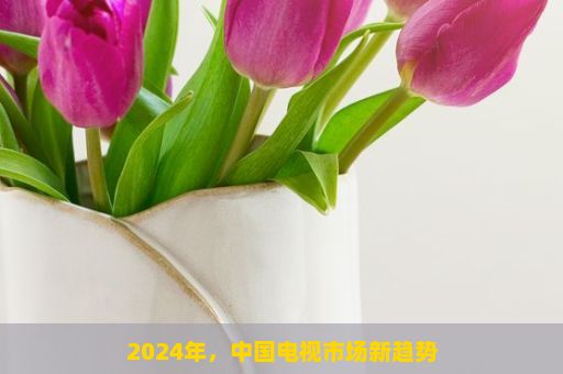 2024年，中国电视市场新趋势