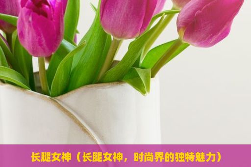 长腿女神（长腿女神，时尚界的独特魅力）