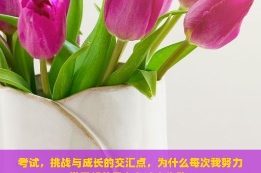 考试，挑战与成长的交汇点，为什么每次我努力学习却总是在考试中失败？