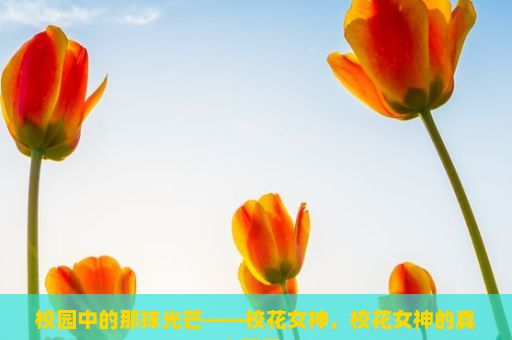 校园中的那抹光芒——校花女神，校花女神的真实面目？