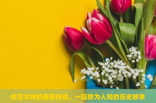 校花女神的美丽传说，一段鲜为人知的历史故事，校花女神的魅力与传奇