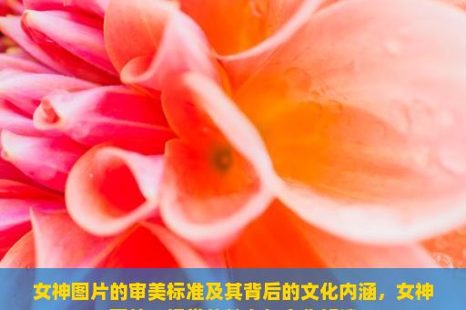 女神图片的审美标准及其背后的文化内涵，女神图片，视觉的魅力与文化解读