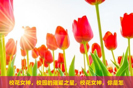 校花女神，校园的璀璨之星，校花女神，你是怎样的存在？