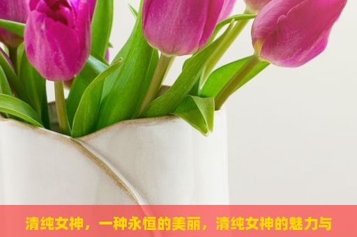 清纯女神，一种永恒的美丽，清纯女神的魅力与象征意义