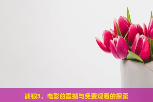 战狼3，电影的震撼与免费观看的探索