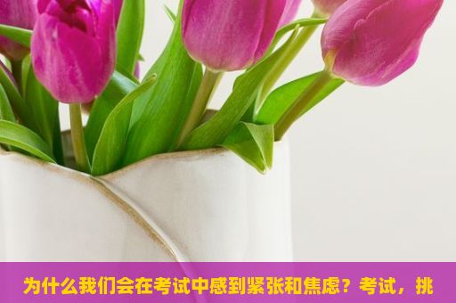 为什么我们会在考试中感到紧张和焦虑？考试，挑战与机遇的交织