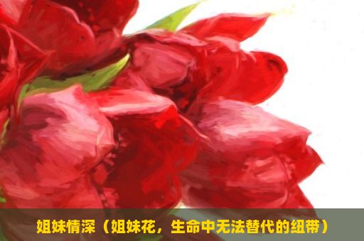 姐妹情深（姐妹花，生命中无法替代的纽带）