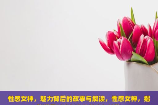 性感女神，魅力背后的故事与解读，性感女神，揭秘世界时尚新宠的魅力与神秘