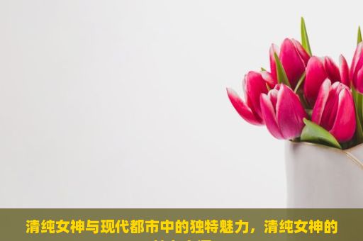 清纯女神与现代都市中的独特魅力，清纯女神的魅力之源