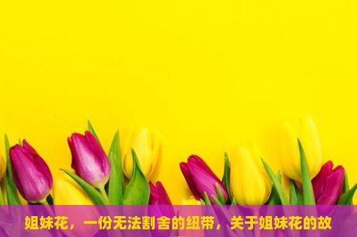 姐妹花，一份无法割舍的纽带，关于姐妹花的故事