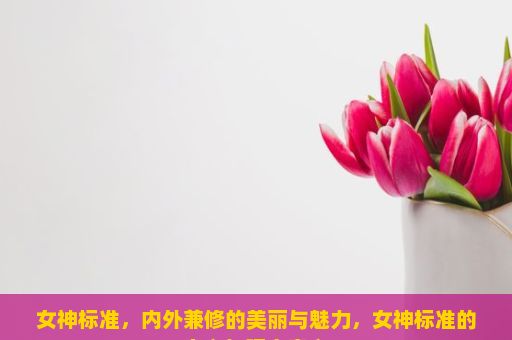 女神标准，内外兼修的美丽与魅力，女神标准的定义与现实意义