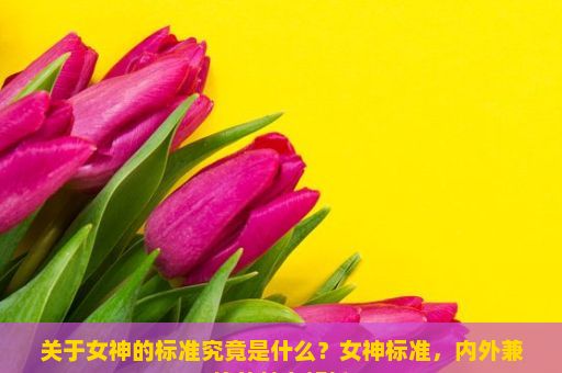 关于女神的标准究竟是什么？女神标准，内外兼修的魅力解析