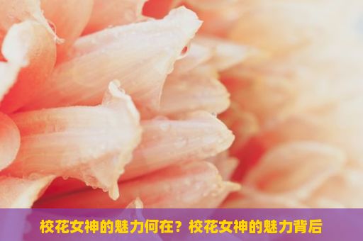 校花女神的魅力何在？校花女神的魅力背后