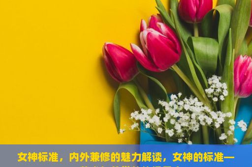 女神标准，内外兼修的魅力解读，女神的标准——艺术与美学的终极尺度