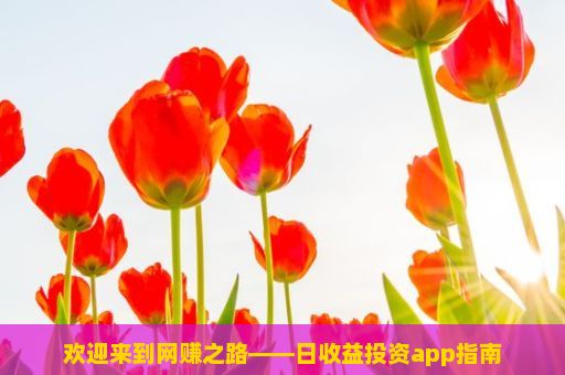 欢迎来到网赚之路——日收益投资app指南