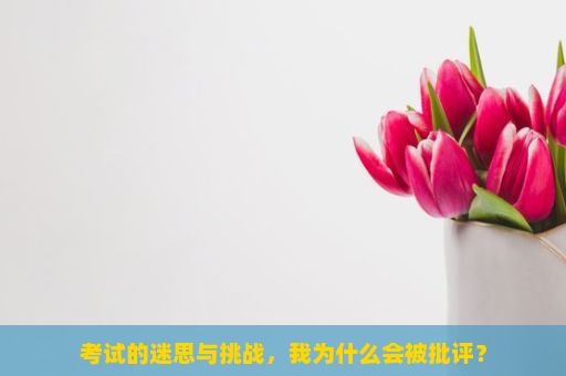 考试的迷思与挑战，我为什么会被批评？