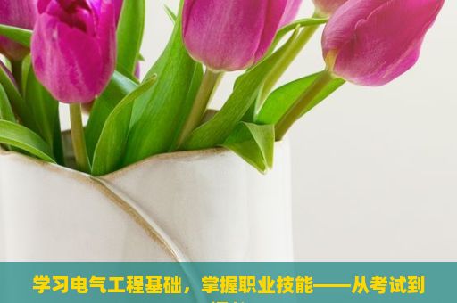 学习电气工程基础，掌握职业技能——从考试到证书