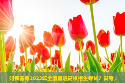 如何备考2023年全国普通高校招生考试？高考，人生路上的重要转折