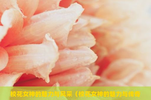 校花女神的魅力与风采（校花女神的魅力与传奇）