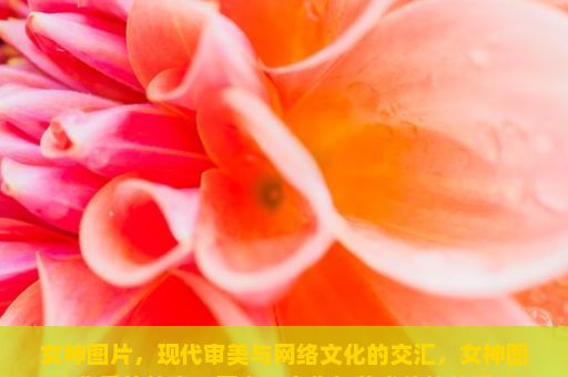 女神图片，现代审美与网络文化的交汇，女神图片背后的故事，历史、文化与艺术价值的探讨