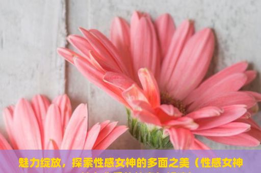 魅力绽放，探索性感女神的多面之美（性感女神，魅力背后的故事与解读）