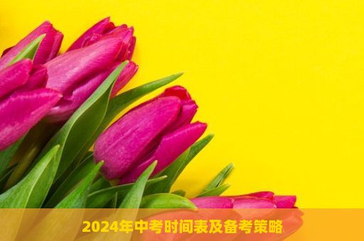 2024年中考时间表及备考策略