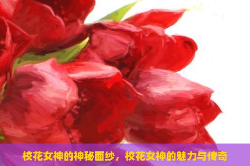 校花女神的神秘面纱，校花女神的魅力与传奇