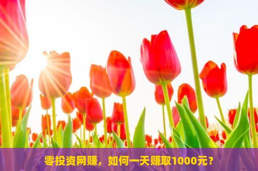 零投资网赚，如何一天赚取1000元？