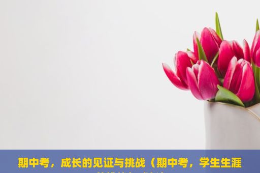 期中考，成长的见证与挑战（期中考，学生生涯的挑战与成长）