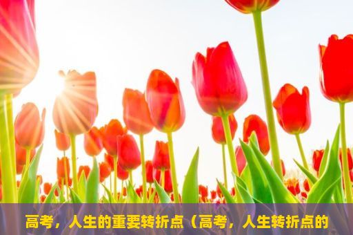 高考，人生的重要转折点（高考，人生转折点的挑战与机遇）